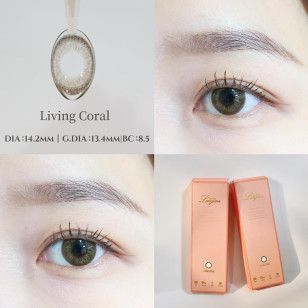 星歐 1Day 星空系列 Living Coral